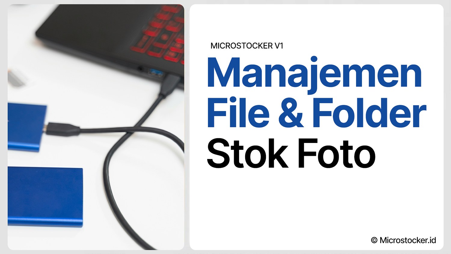 Manajemen File dan Folder Stok Foto