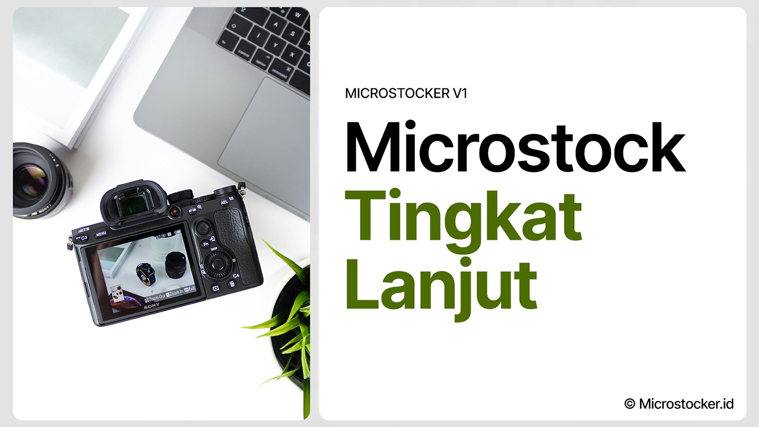 Microstock Tingkat Lanjut